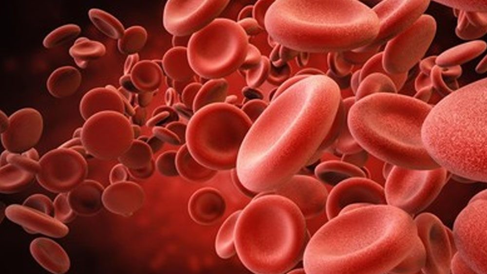 Experts Study Cross-Species Blood Transfusion, Testing from Humans to Mice